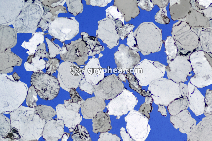 Grès (mise en évidence des lacunes) LPA x5 - gryphea.com